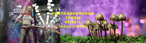 бошки Краснослободск