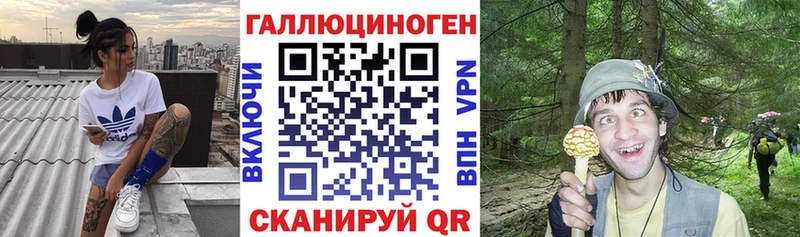 дарк нет Telegram Оренбург Галлюциногенные грибы Magic Shrooms